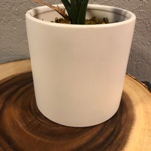 Project 62 Accents - PROJECT 62 2.2’ Artificial Banana Tree in Pot NEW Project 62 Accents - PROJECT 62 2.2’ Artificial Banana Tree in Pot NEW